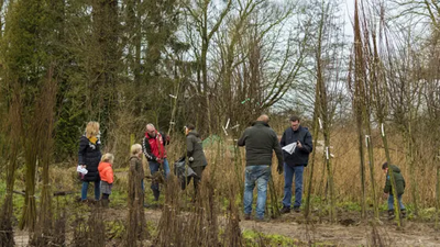 mensen zijn bomen aan het planten