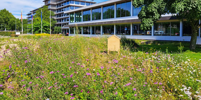 tuin voor het provinciehuis in Zwolle