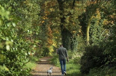 man in het bos met een hondje