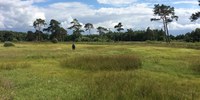 Bergvennen en brecklenkamse veld