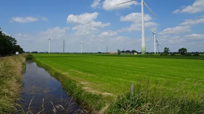 windmolens in een weiland