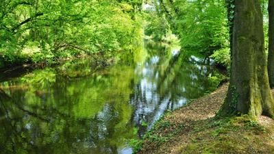 water met bomen aan de kant