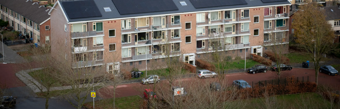 bij op bloem